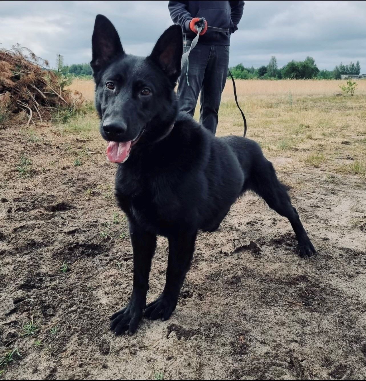 316819203_440998491527590_9028609536325665249_n